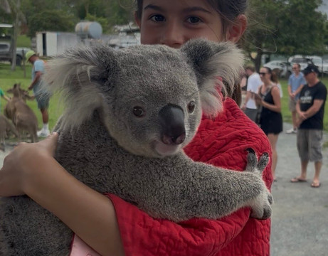 Bredl's Wildlife-艾尔利滩必去景点