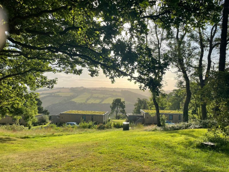 The Mole Resort-官方