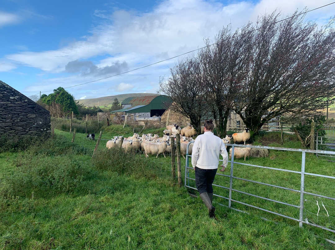 Hidden Hills Waterville Farm Tours & Accommodation-Waterville必去景点