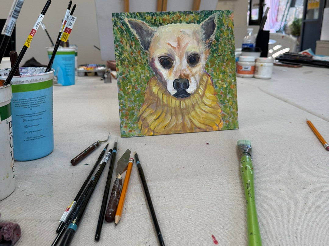 Galeria San Francisco-圣米格尔护城必去景点