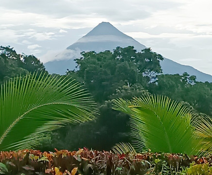 Picpra Speciality Coffee主图