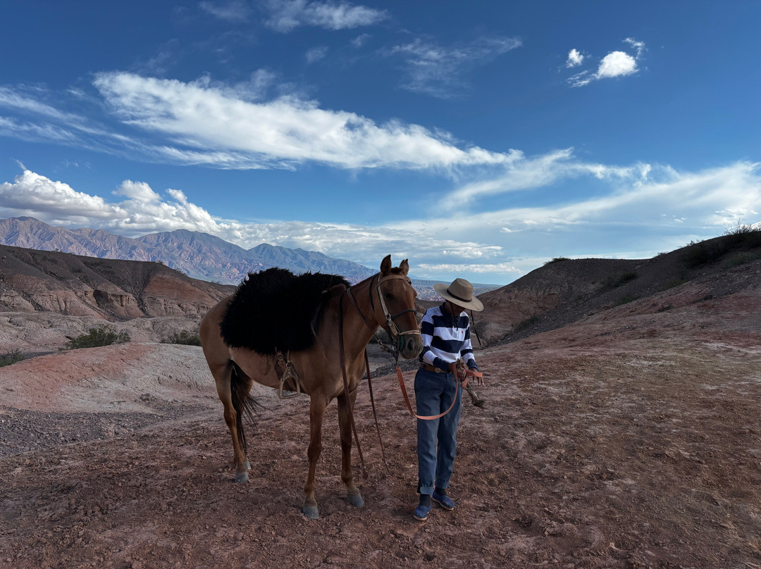 Origins Argentina Travels-萨尔塔必去景点