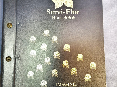 Hotel Servi-Flor主图
