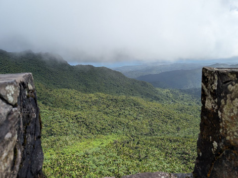 Torre Britton-云盖国家森林公园必去景点