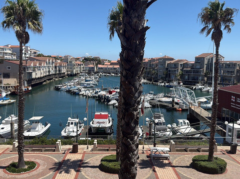 St Francis Safaris-Port St Francis必去景点