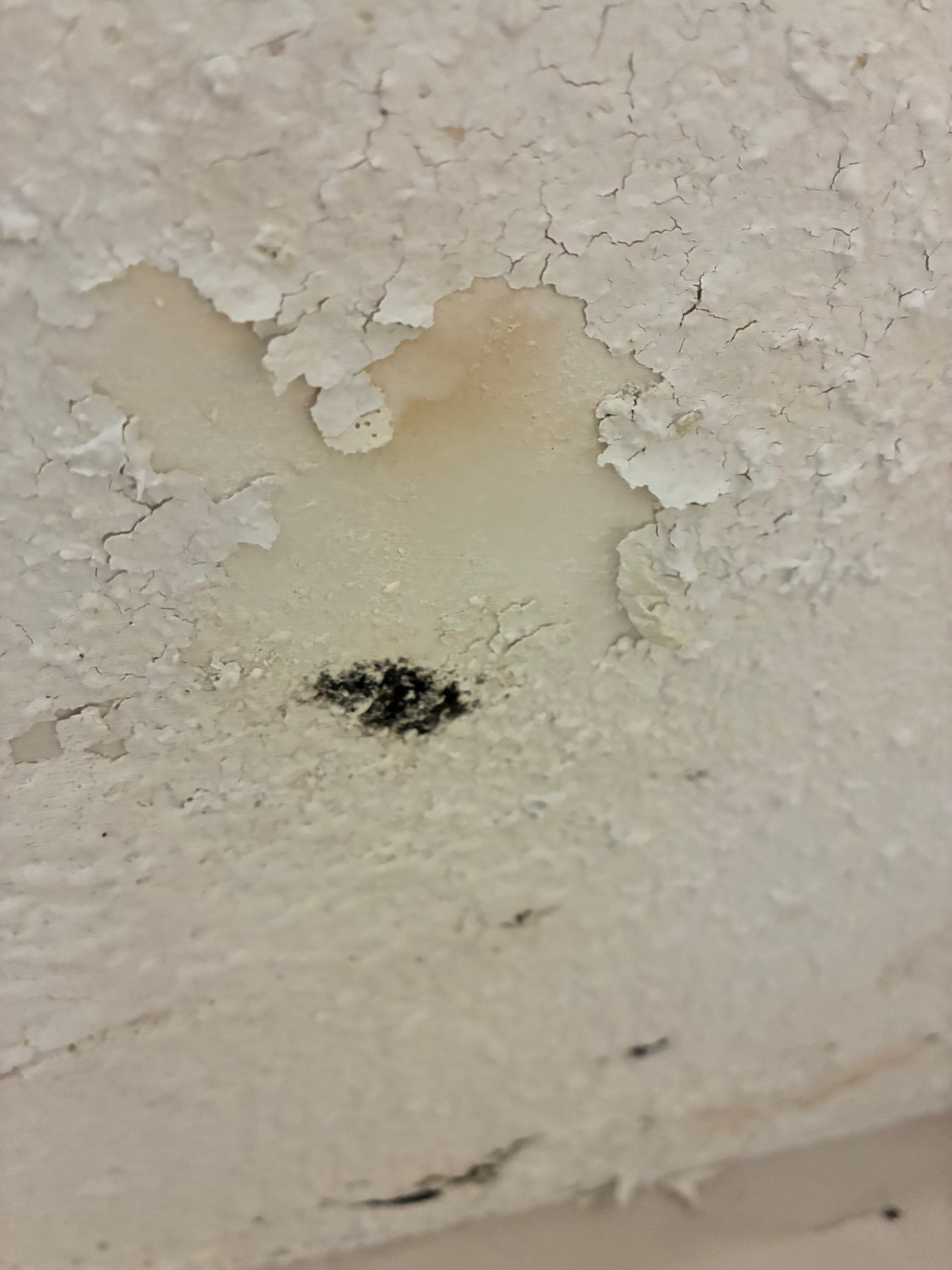 Best Western Ramkota Hotel-浴室