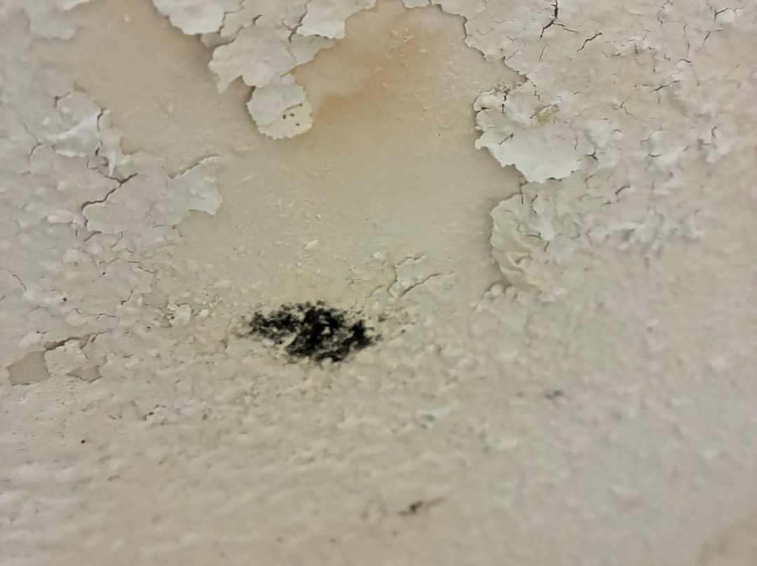 Best Western Ramkota Hotel主图