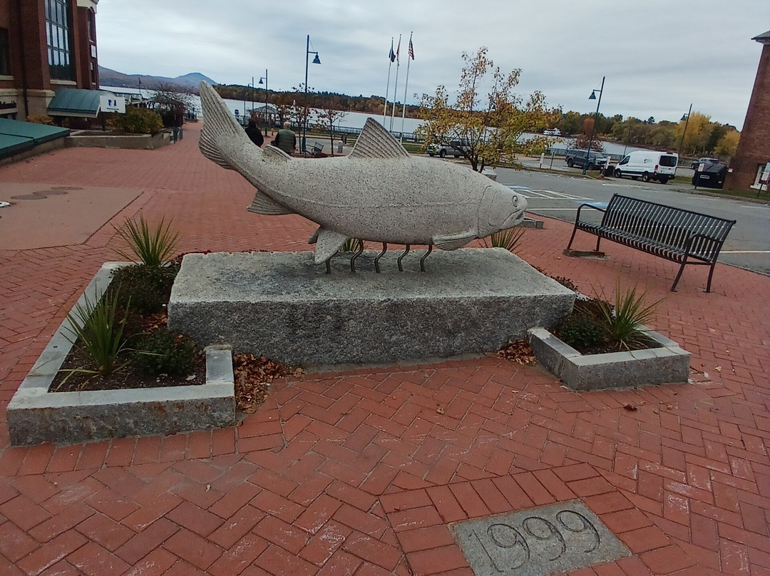 Pomerleau Park-Newport必去景点