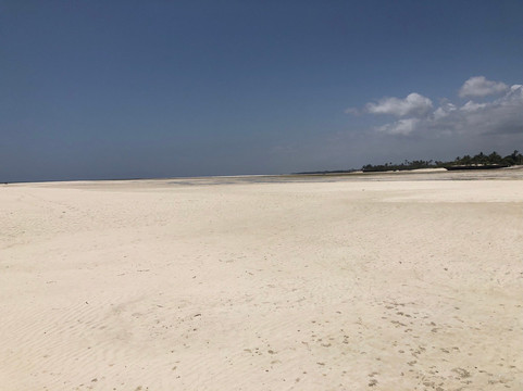 Peponi Beach Swahili Grill & Bar