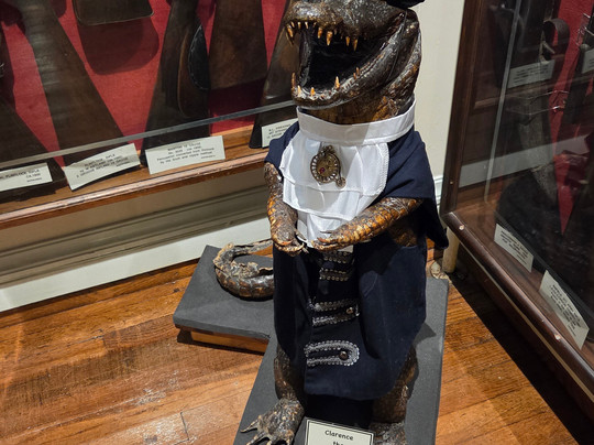 Whitby Museum-惠特比必去景点