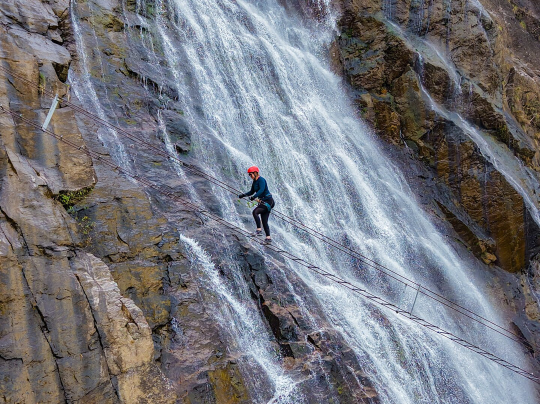 Jungle Boss Tours-峰牙－己榜国家公园必去景点