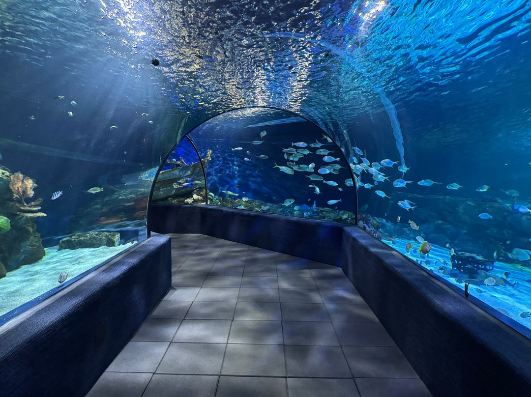 Angkor Wildlife & Aquarium-暹粒必去景点