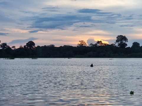 Leticia Adventures-莱蒂西亚必去景点