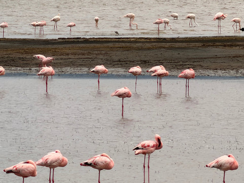 Zanleisuretours & Safaris-桑给巴尔市必去景点