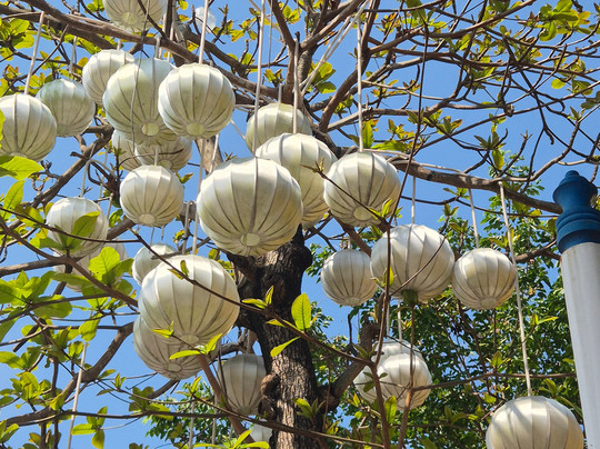 Asiatica Travel-河内必去景点