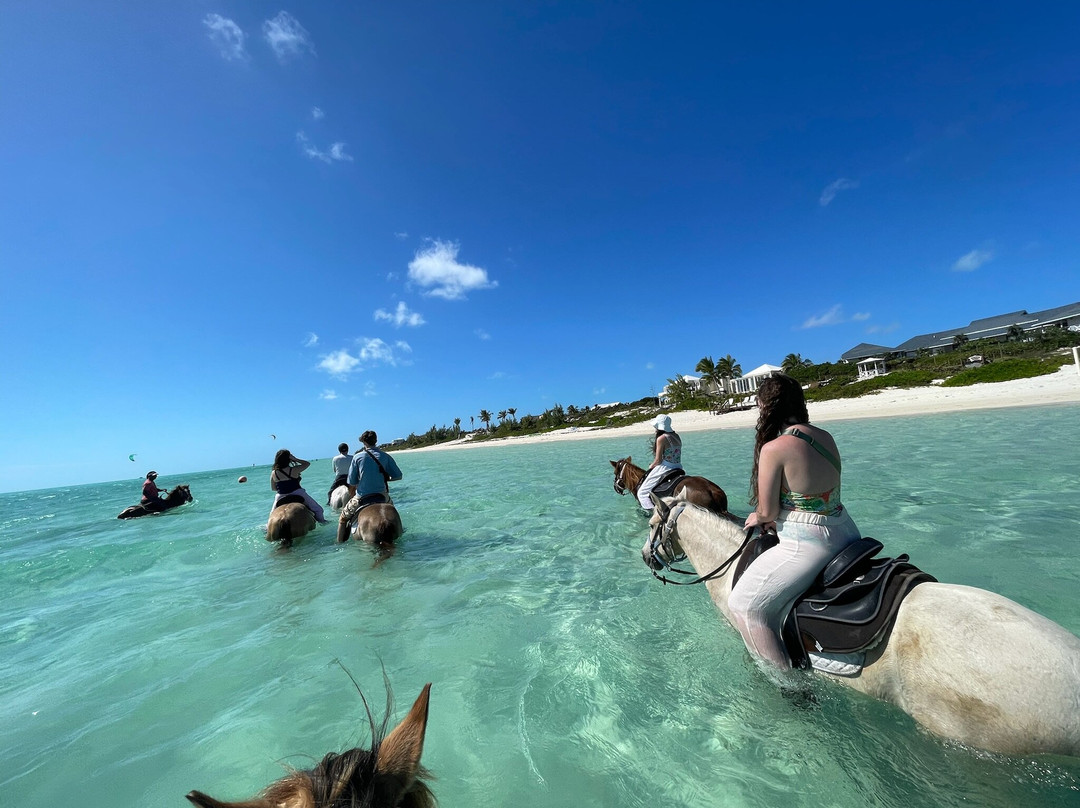 Provo Ponies-Long Bay Hills必去景点