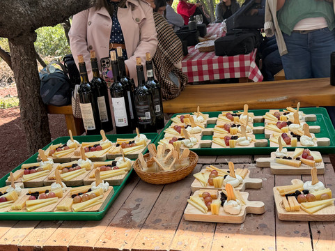 Rancho San Josemaría-克雷塔罗必去景点