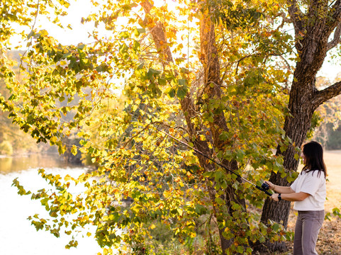 露西营旅馆主图