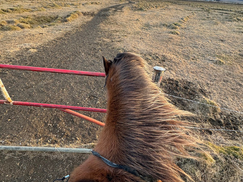 Eldhestar Volcano Horses-Olfus必去景点