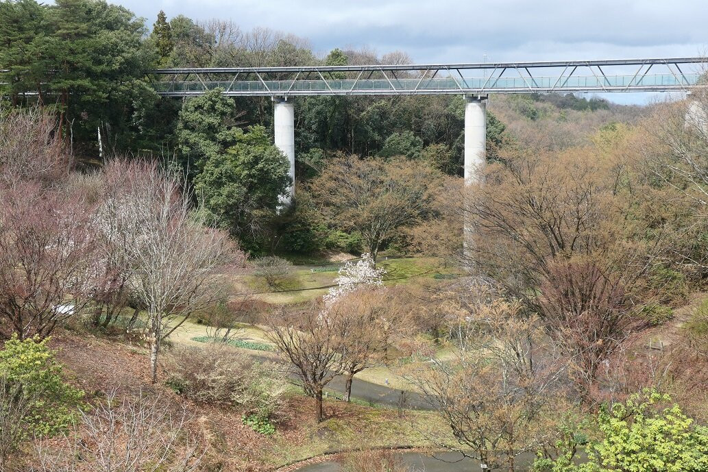 Tottori Hanakairo-Flower Park-南部町必去景点