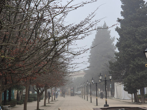 Gala Avenue-连科兰必去景点