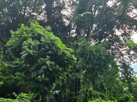 Ara Manzanillo-Manzanillo必去景点