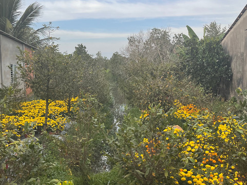 Mekong Realism-芹苴必去景点