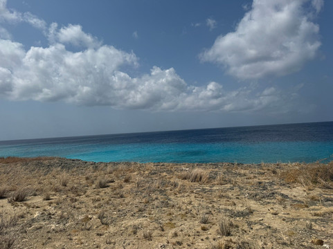 Washington-Slagbaai National Park Visitor Center Museum-Washington-Slagbaai National Park必去景点