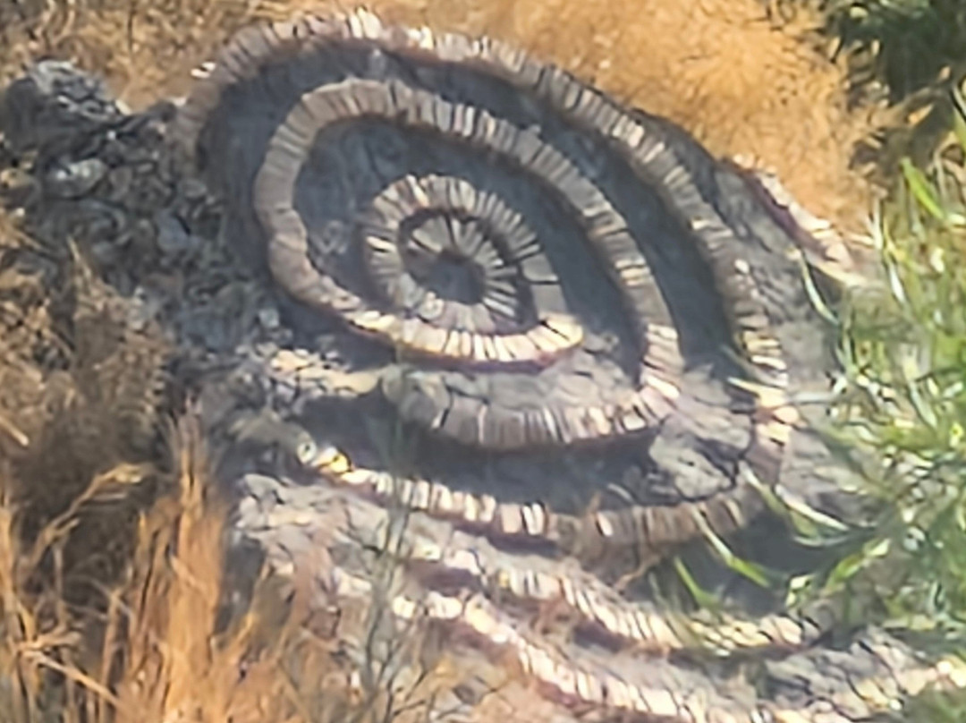 Volkan's Adventures-达利安必去景点