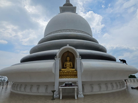 Sri Lanka Driver Hire-科伦坡必去景点