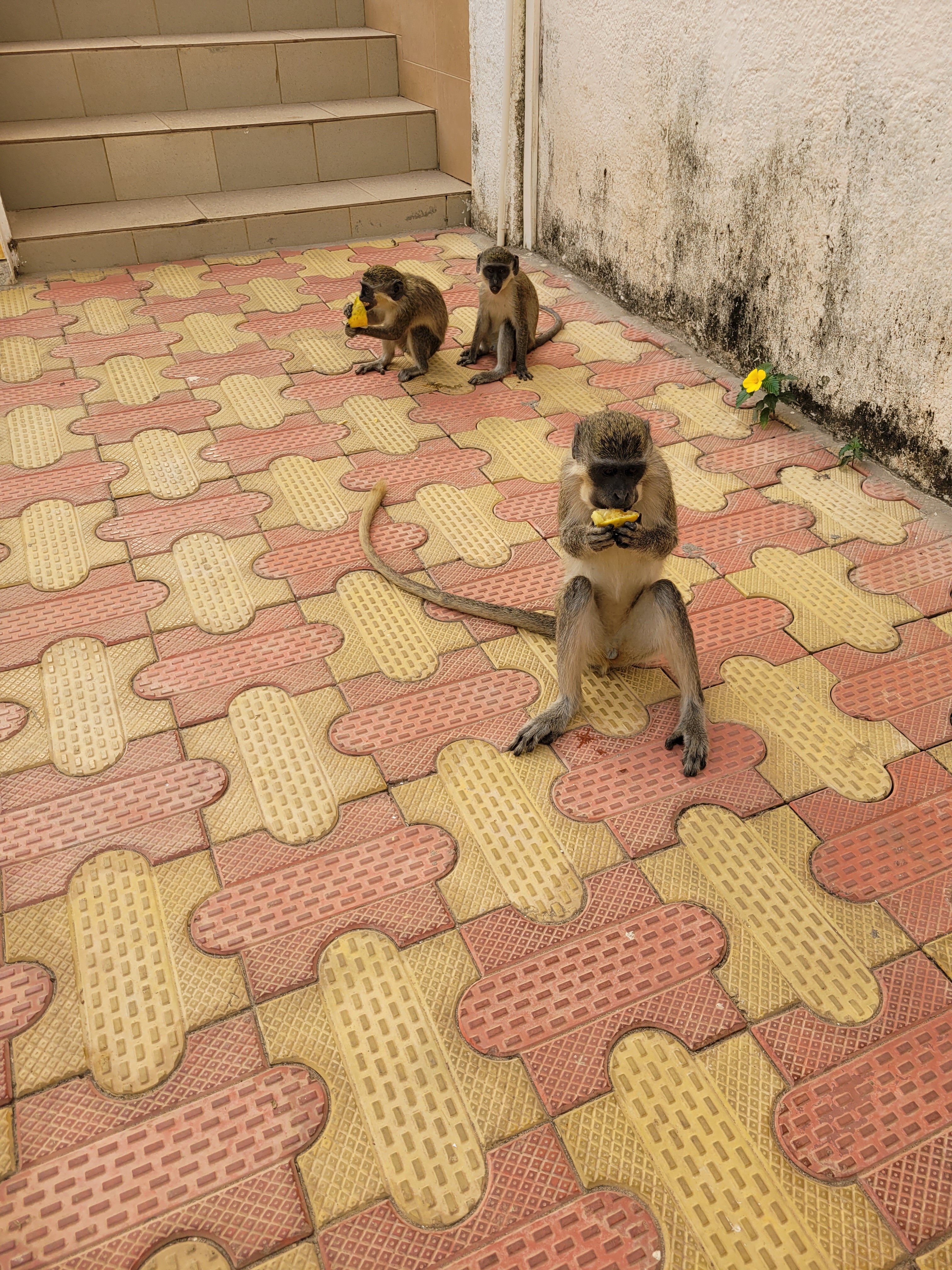 开普角酒店-官方