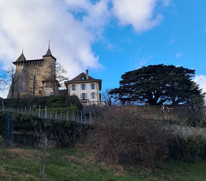 Château de Vaumarcus