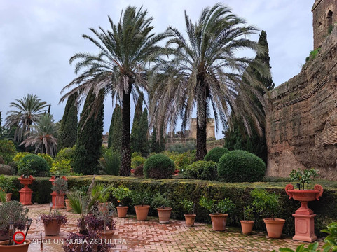 Palacio Portocarrero-Palma Del Rio必去景点