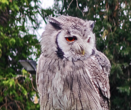 Thorp Perrow-Bedale必去景点