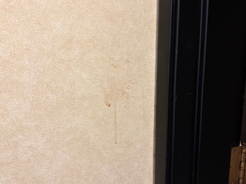 Lavissh Inn & Suites