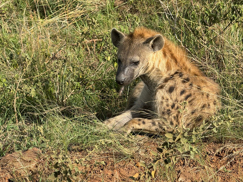 Journeys Beyond Africa-内罗毕必去景点