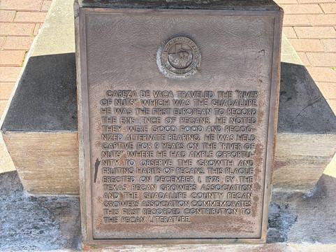 World’s Largest Pecan-塞金必去景点