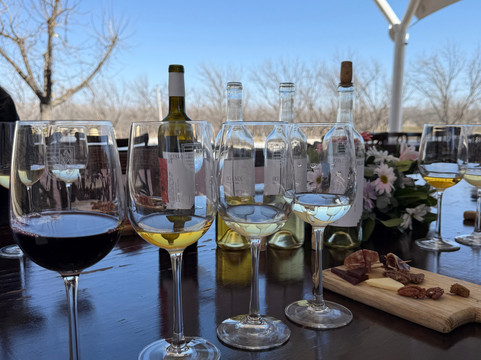 Bodega RGMX-Parras de la Fuente必去景点