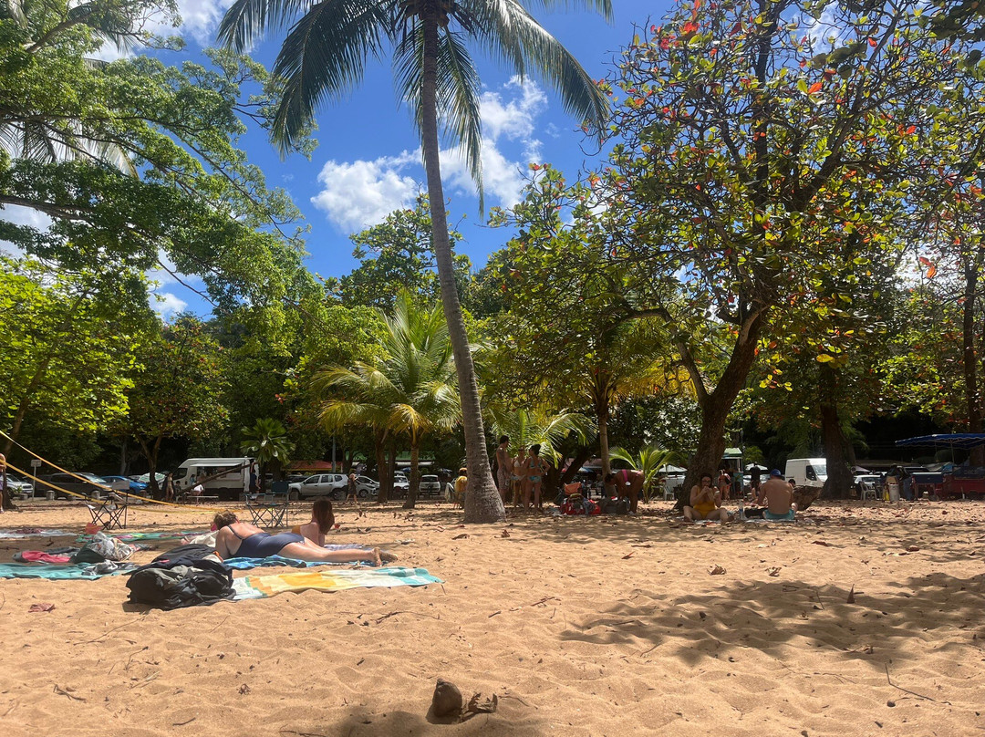 Plage de Grande Anse-Deshaies必去景点