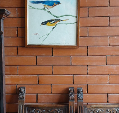 La Cigolina-Castelnuovo Bocca D'Adda必去景点