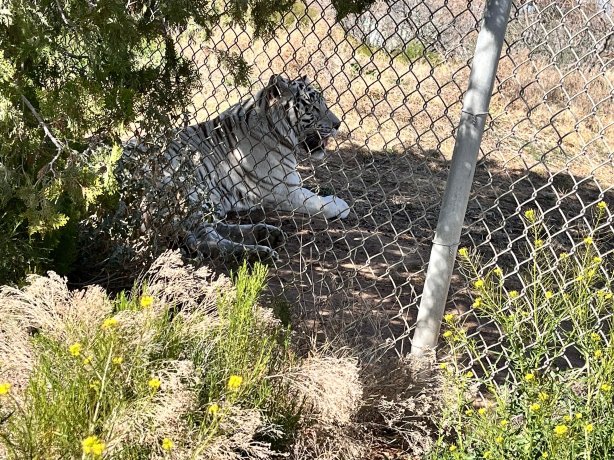 Days Inn by Wyndham Camp Verde Arizona-官方