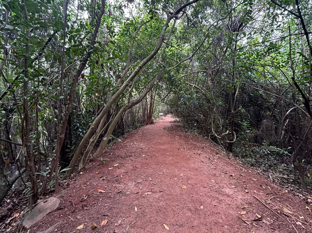Beddegana Wetland Park-斯里贾亚瓦德纳普拉必去景点