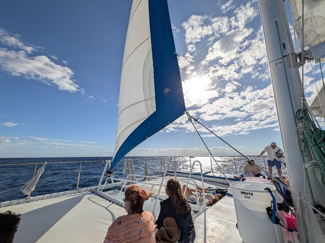 Cancun Adventures - Luxury Sailing & Snorkeling-普拉亚德尔卡曼必去景点