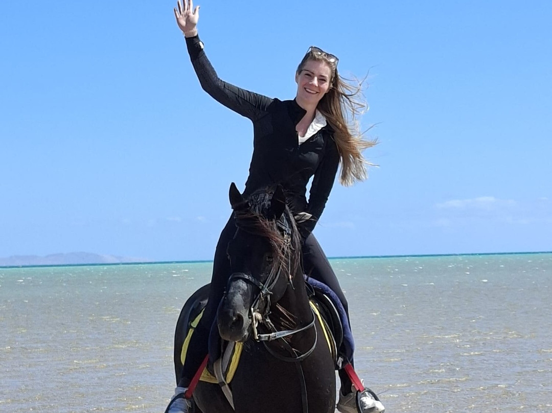 Yallahorse Stable-艾高娜必去景点