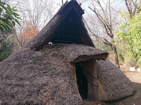 Tokyo Metropolitan Archaeological Center-多摩市必去景点