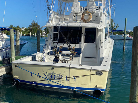 Panoply Sport Fishing & Luxury Charters-普罗维登西亚莱斯必去景点