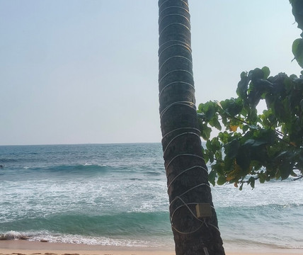 MySL Travel-科伦坡必去景点