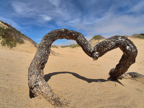Desert Dunes & Dust Tours-斯瓦科普蒙德必去景点