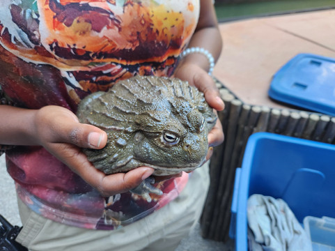 Giraffe House Wildlife Awareness Centre-斯泰伦博斯必去景点