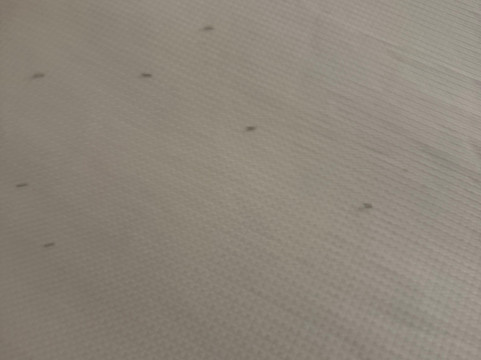 弗雷德里克斯堡玛丽华盛顿凯悦嘉轩酒店主图